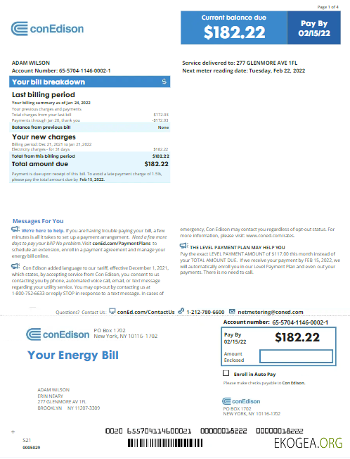 USA NEW YORK CONEDISON utility bill Word and PDF template, version 2
